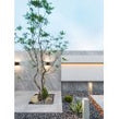 Star Grey 60cm x 120cm 18mm Slab Tile