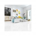 Stark Polished Porcelain 60xm x 60cm Floor Tile