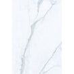 Staturio Diamond Gold 60cm x 90cm 2cm Slab Tile 21.5 SQM Project Pack