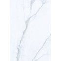 Staturio Diamond Gold 60cm x 90cm 2cm Slab Tile 21.5 SQM Project Pack