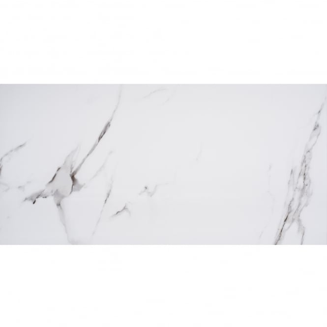 Staturio Matt 60cm x 120cm Floor Tile