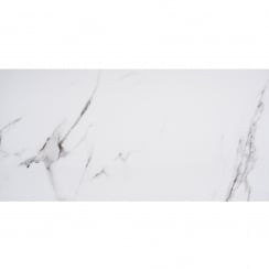 Staturio Matt 60cm x 120cm Floor Tile