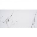 Staturio Matt 60cm x 120cm Floor Tile