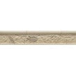 Stone Fish Beige 6cm x 33cm Border Tile