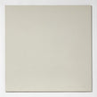 Super White Polished Porcelain 60cm x 60cm Wall and Floor Tile