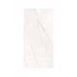 Taj Crystal Polished 60cm x 120cm Wall & Floor Tile