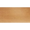 Terracotta Fuego Antic 15cm x 30cm Wall and Floor Tile