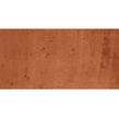 Terracotta Fuego Teja 15cm x 30cm Wall and Floor Tile