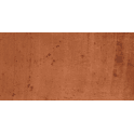 Terracotta Fuego Teja 15cm x 30cm Wall and Floor Tile
