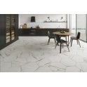 Thassos Gold Large Hexagon 56cm x 48cm Wall & Floor Tile