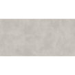 Titanio Grey 59.8cm x 119.8cm Wall and Floor Tile