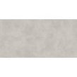Titanio Grey 59.8cm x 119.8cm Wall and Floor Tile