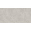 Titanio Grey 59.8cm x 119.8cm Wall and Floor Tile