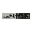 Heckstream Torrestream Merola Leaf 5cm X 25cm Border Tile