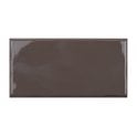 Trendy Clay Glossy 12.5cm x 25cm Wall Tile