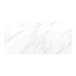 Vanesso Gloss 30cm x 60cm Wall Tile