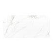 Vanesso Gloss 30cm x 60cm Wall Tile