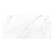 Vanesso Gloss 30cm x 60cm Wall Tile