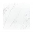 Vanesso Matt 60cm x 60cm Wall & Floor Tile