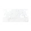 Venesso Grey Gloss Concept Decor 30cm x 60cm Wall Tile