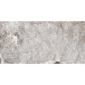 Veneto Gris Rectified 30cm x 60cm Wall and Floor Tile