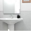 Victorian Penny Gloss White 31.5cm x 29.4cm (1.9cm x 1.9cm) Mosaic Tile