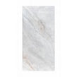 Vienna Crystal Polished 60cm x 120cm Wall & Floor Tile