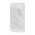 Vienna Crystal Polished 60cm x 120cm Wall & Floor Tile