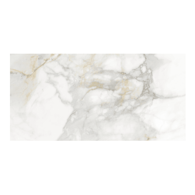 Vita Mate 31.6cm x 63.7cm Wall & Floor Tile