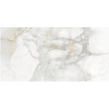 Vita Mate 31.6cm x 63.7cm Wall & Floor Tile