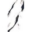 White Panda 80cm x 160cm Wall & Floor Tile