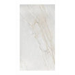 Zareen Crystal Polished 60cm x 120cm Wall & Floor Tile