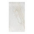 Zareen Crystal Polished 60cm x 120cm Wall & Floor Tile