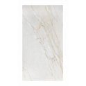 Zareen Crystal Polished 60cm x 120cm Wall & Floor Tile