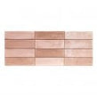 Zelli Rosa 20cm x 50cm Wall Tile